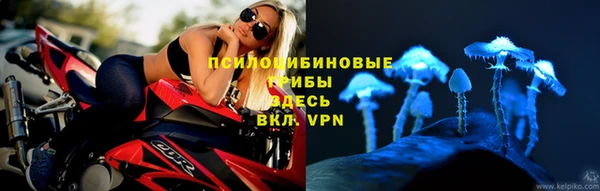 прущая мука Пролетарск