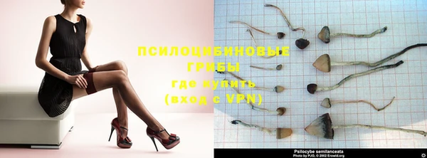 круглые Покачи