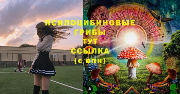 мяу мяу мука Абаза