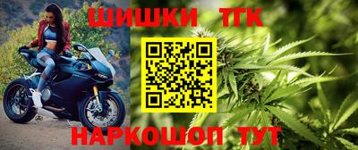 МДПВ Абакан
