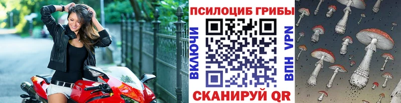 MEGA онион  Алатырь  Псилоцибиновые грибы мицелий 