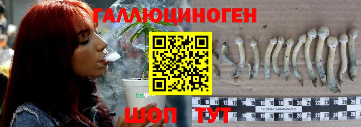 Алатырь  Галлюциногенные грибы мухоморы  Вход с VPN  Псилоцибиновые грибы Magic Shrooms 