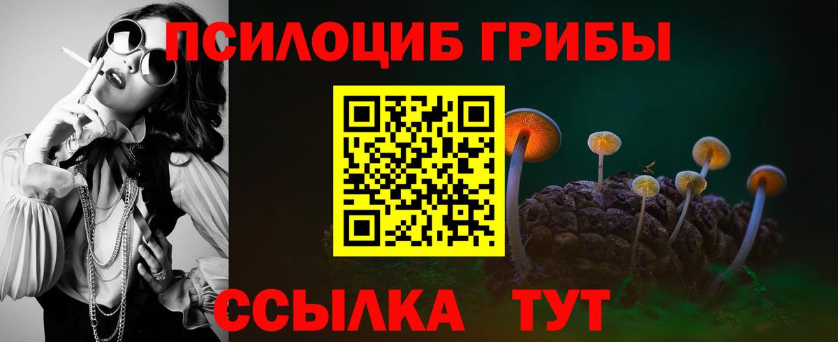Алатырь  Псилоцибиновые грибы Psilocybe  Галлюциногенные грибы GOLDEN TEACHER  Вход с VPN 