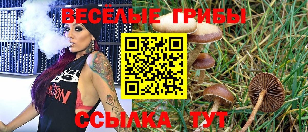 Псилоцибиновые грибы Magic Shrooms Алатырь